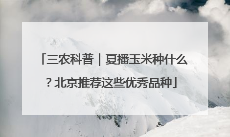 三农科普｜夏播玉米种什么？北京推荐这些优秀品种