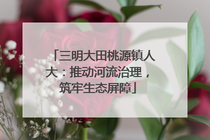 三明大田桃源镇人大：推动河流治理，筑牢生态屏障
