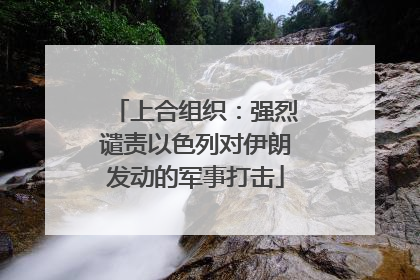 上合组织：强烈谴责以色列对伊朗发动的军事打击