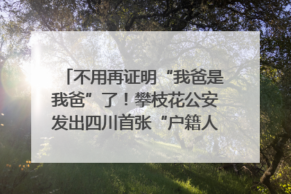 不用再证明“我爸是我爸”了！攀枝花公安发出四川首张“户籍人口直系亲属关系谱”