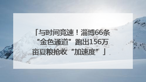 与时间竞速！淄博66条“金色通道”跑出156万亩夏粮抢收“加速度”