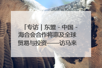 专访｜东盟－中国－海合会合作将惠及全球贸易与投资——访马来西亚亚太“一带一路”共策会高级研究员本恩·纳戈拉