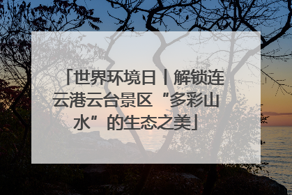 世界环境日丨解锁连云港云台景区“多彩山水”的生态之美
