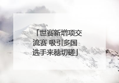 世赛新增项交流赛 吸引多国选手来穗切磋