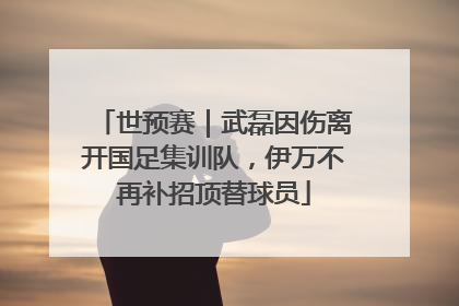 世预赛｜武磊因伤离开国足集训队，伊万不再补招顶替球员