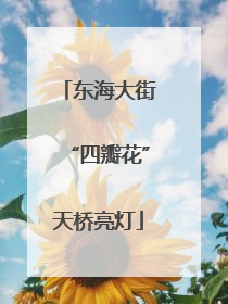 东海大街“四瓣花”天桥亮灯