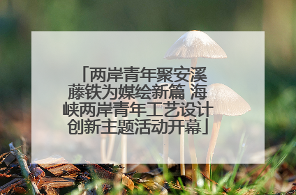 两岸青年聚安溪 藤铁为媒绘新篇 海峡两岸青年工艺设计创新主题活动开幕