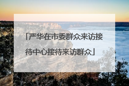 严华在市委群众来访接待中心接待来访群众