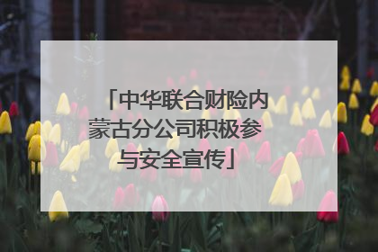 中华联合财险内蒙古分公司积极参与安全宣传