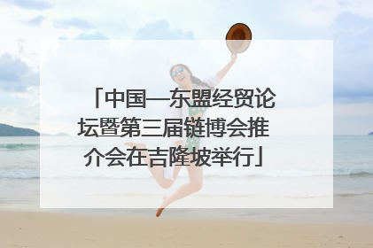中国—东盟经贸论坛暨第三届链博会推介会在吉隆坡举行
