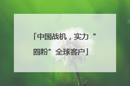 中国战机，实力“圈粉”全球客户