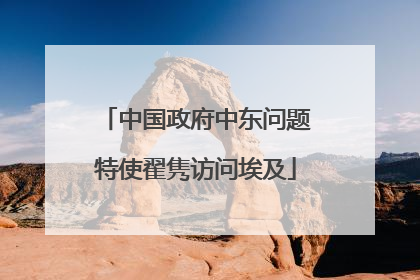 中国政府中东问题特使翟隽访问埃及