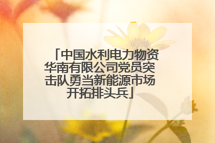 中国水利电力物资华南有限公司党员突击队勇当新能源市场开拓排头兵