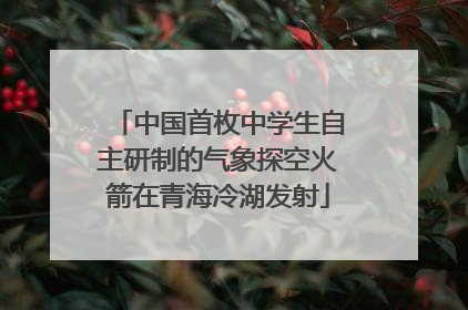 中国首枚中学生自主研制的气象探空火箭在青海冷湖发射
