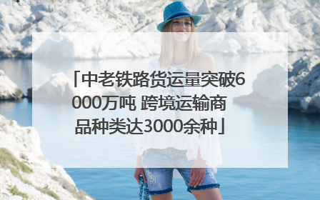 中老铁路货运量突破6000万吨 跨境运输商品种类达3000余种