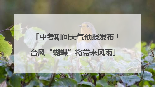 中考期间天气预报发布！台风“蝴蝶”将带来风雨