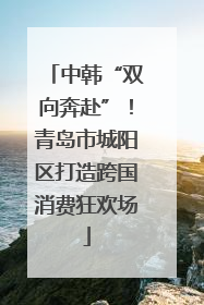 中韩“双向奔赴”！青岛市城阳区打造跨国消费狂欢场