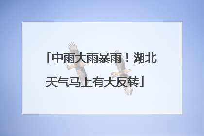 中雨大雨暴雨！湖北天气马上有大反转