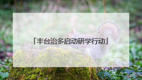 丰台治多启动研学行动