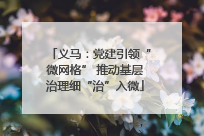 义马：党建引领“微网格” 推动基层治理细“治”入微