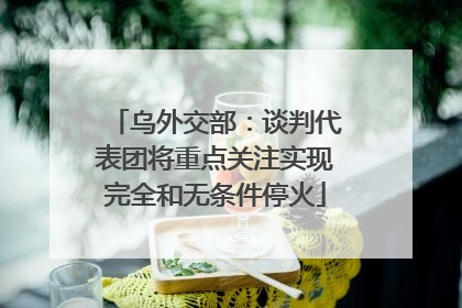 乌外交部：谈判代表团将重点关注实现完全和无条件停火