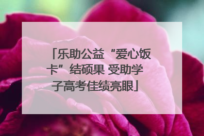 乐助公益“爱心饭卡”结硕果 受助学子高考佳绩亮眼