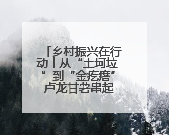 乡村振兴在行动丨从“土坷垃”到“金疙瘩” 卢龙甘薯串起富民产业链