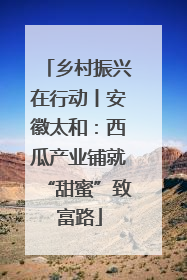 乡村振兴在行动丨安徽太和：西瓜产业铺就“甜蜜”致富路