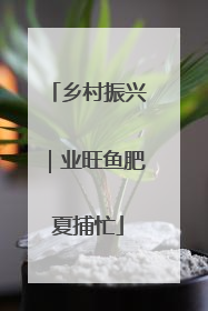 乡村振兴｜业旺鱼肥夏捕忙
