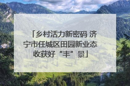 乡村活力新密码 济宁市任城区田园新业态收获好“丰”景