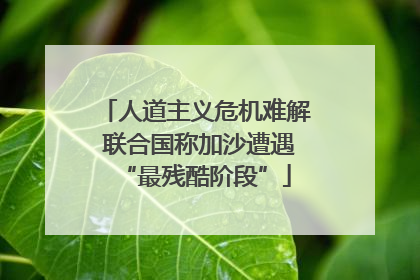 人道主义危机难解 联合国称加沙遭遇“最残酷阶段”