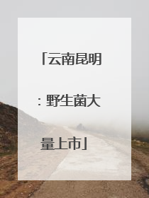 云南昆明：野生菌大量上市