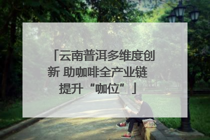 云南普洱多维度创新 助咖啡全产业链提升“咖位”