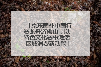 京东国补中国行赛龙舟游佛山，以特色文化赛事激活区域消费新动能