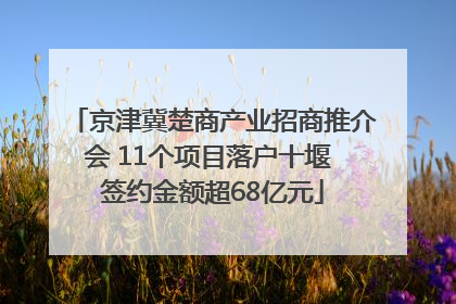 京津冀楚商产业招商推介会 11个项目落户十堰 签约金额超68亿元