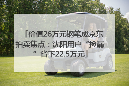 价值26万元钢笔成京东拍卖焦点：沈阳用户“捡漏”省下22.5万元