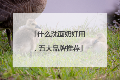 什么洗面奶好用，五大品牌推荐