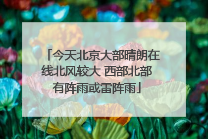 今天北京大部晴朗在线北风较大 西部北部有阵雨或雷阵雨