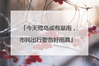 今天鹭岛或有暴雨，市民出行要备好雨具