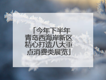 今年下半年 青岛西海岸新区精心打造八大重点消费类展览