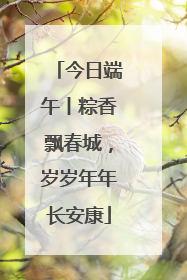 今日端午丨粽香飘春城，岁岁年年长安康
