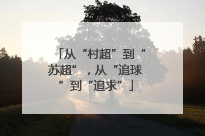 从“村超”到“苏超”，从“追球”到“追求”