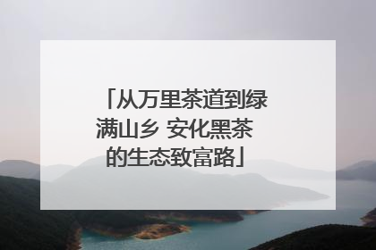 从万里茶道到绿满山乡 安化黑茶的生态致富路