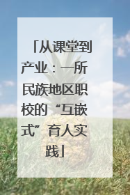 从课堂到产业：一所民族地区职校的“互嵌式”育人实践