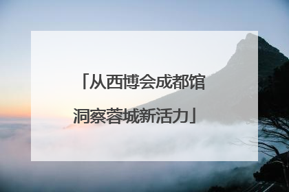 从西博会成都馆洞察蓉城新活力