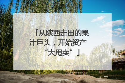 从陕西走出的果汁巨头，开始资产“大甩卖”