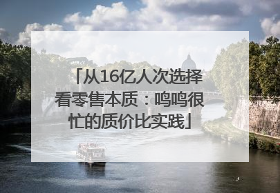 从16亿人次选择看零售本质：鸣鸣很忙的质价比实践