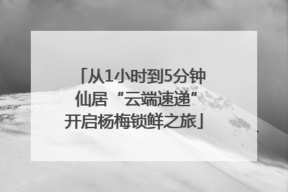 从1小时到5分钟 仙居“云端速递”开启杨梅锁鲜之旅