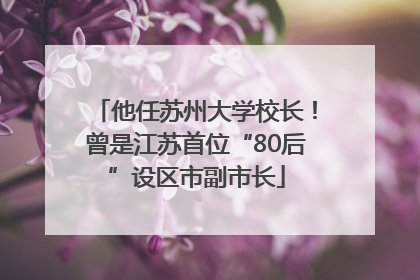 他任苏州大学校长！曾是江苏首位“80后”设区市副市长