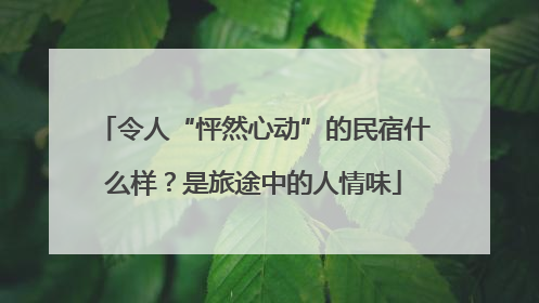 令人“怦然心动”的民宿什么样？是旅途中的人情味